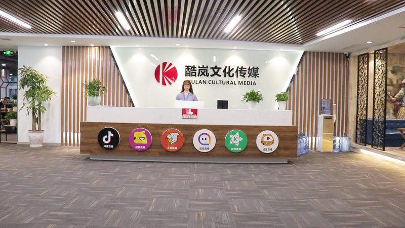 企业VI设计规范手册：打造品牌形象的基石