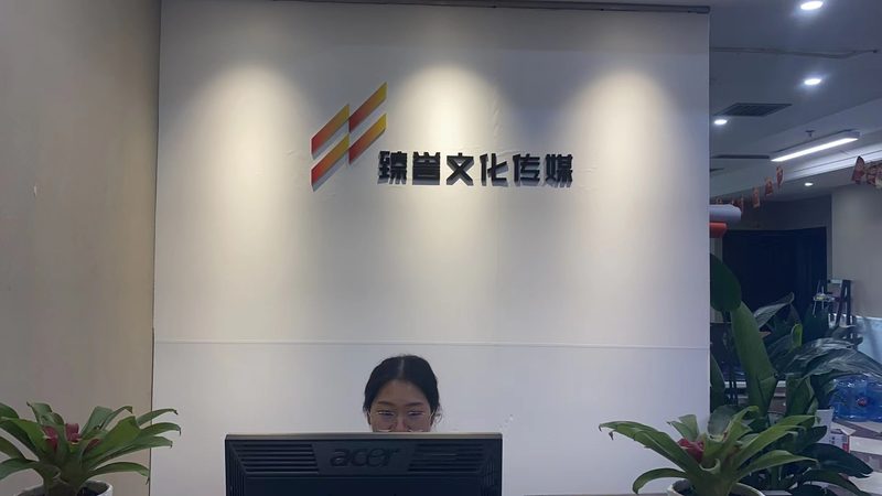 揭秘传媒行业：十大品牌如何引领内容创新